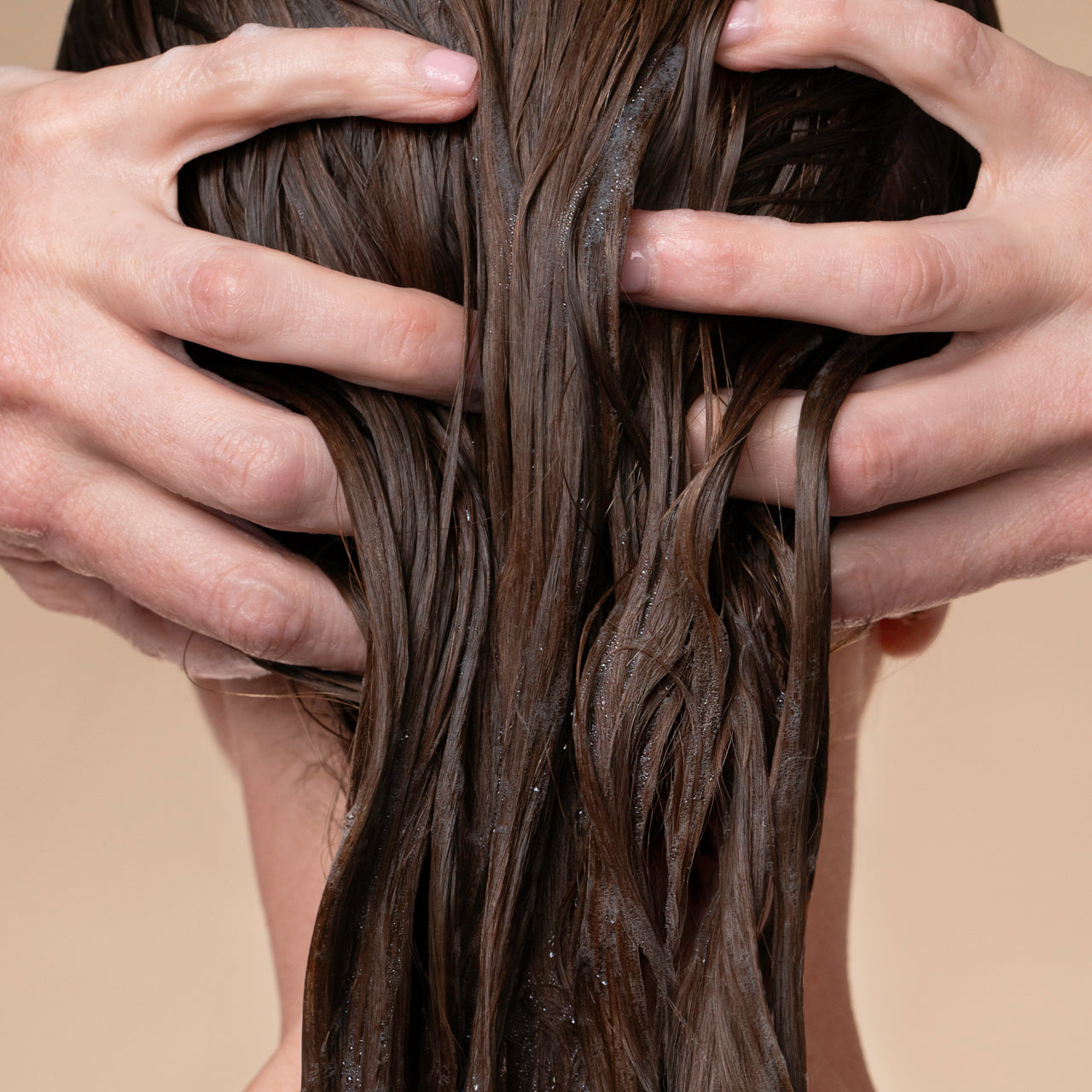 505886-505909-505923-505947-507873-505961-LiquidShampoo-Model-2-1280x1280px_ae5fd263-3751-4909-b1a0-f026c97d3bfe